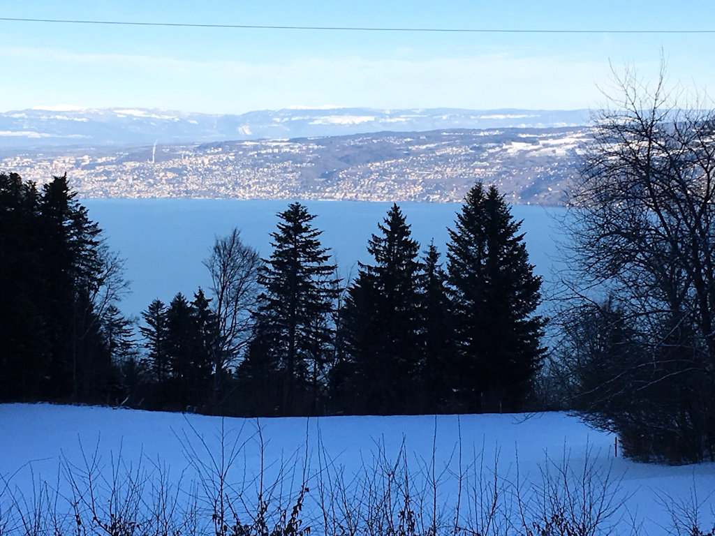 vue sur le lac Léman depuis notre chalet de Thollon les Mémises
