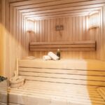 sauna chalet thollon les mémises