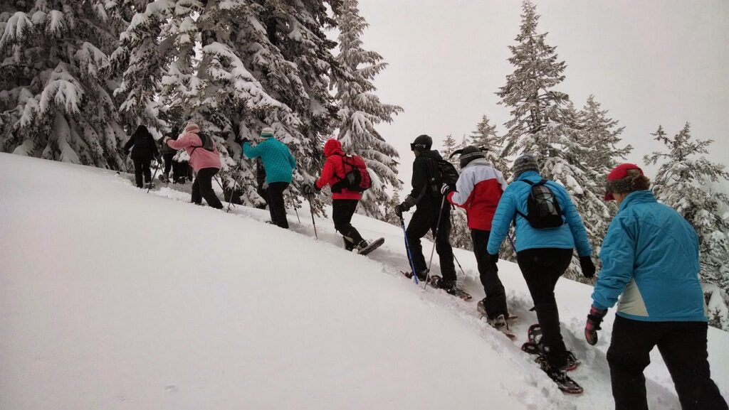 randonnées raquettes de neige à thollon les memises (74)