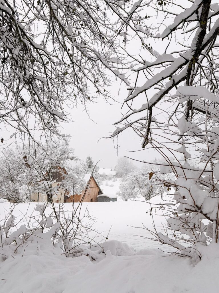 chalet neige montagne thollon les memises