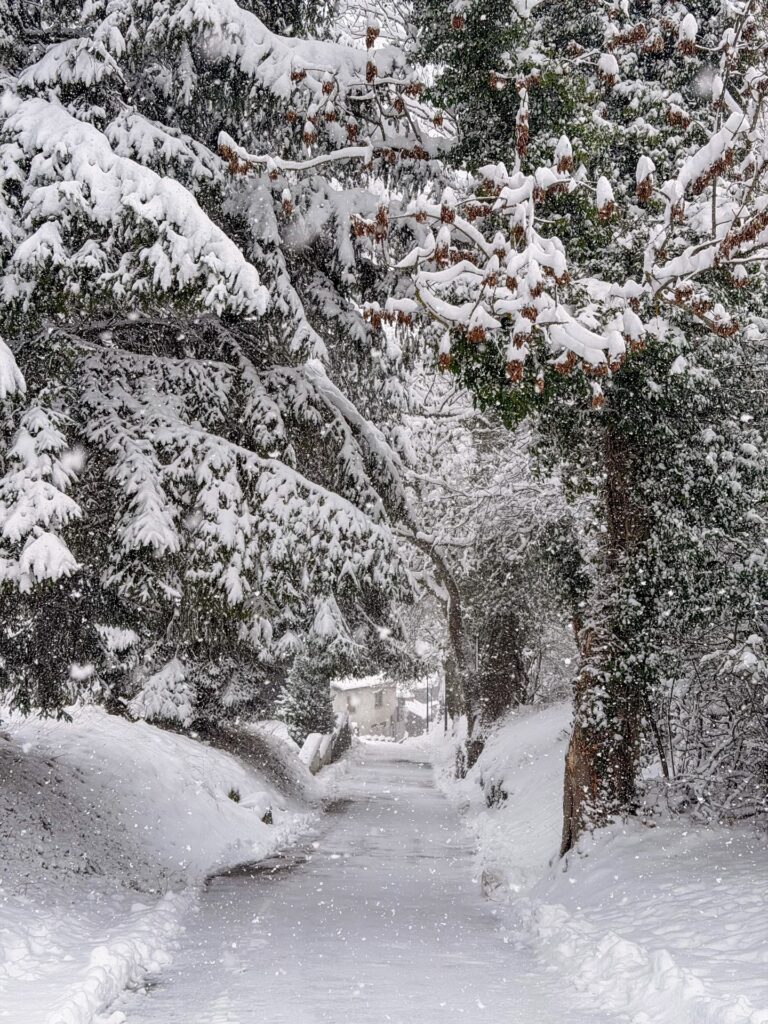 paysages enneigés de haute savoie l'hiver
