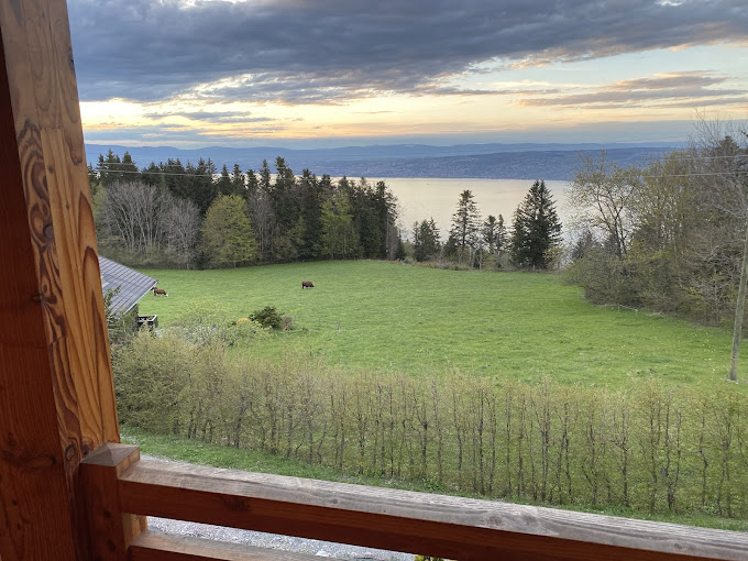 vue sur le lac Léman depuis le chalet Le P'tit Suisse à Thollon les Mémises
